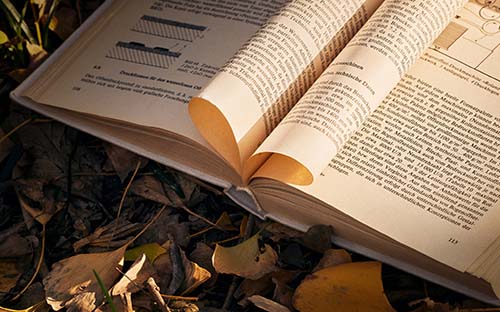 医科大学专科_安徽医科大学专科(图1)